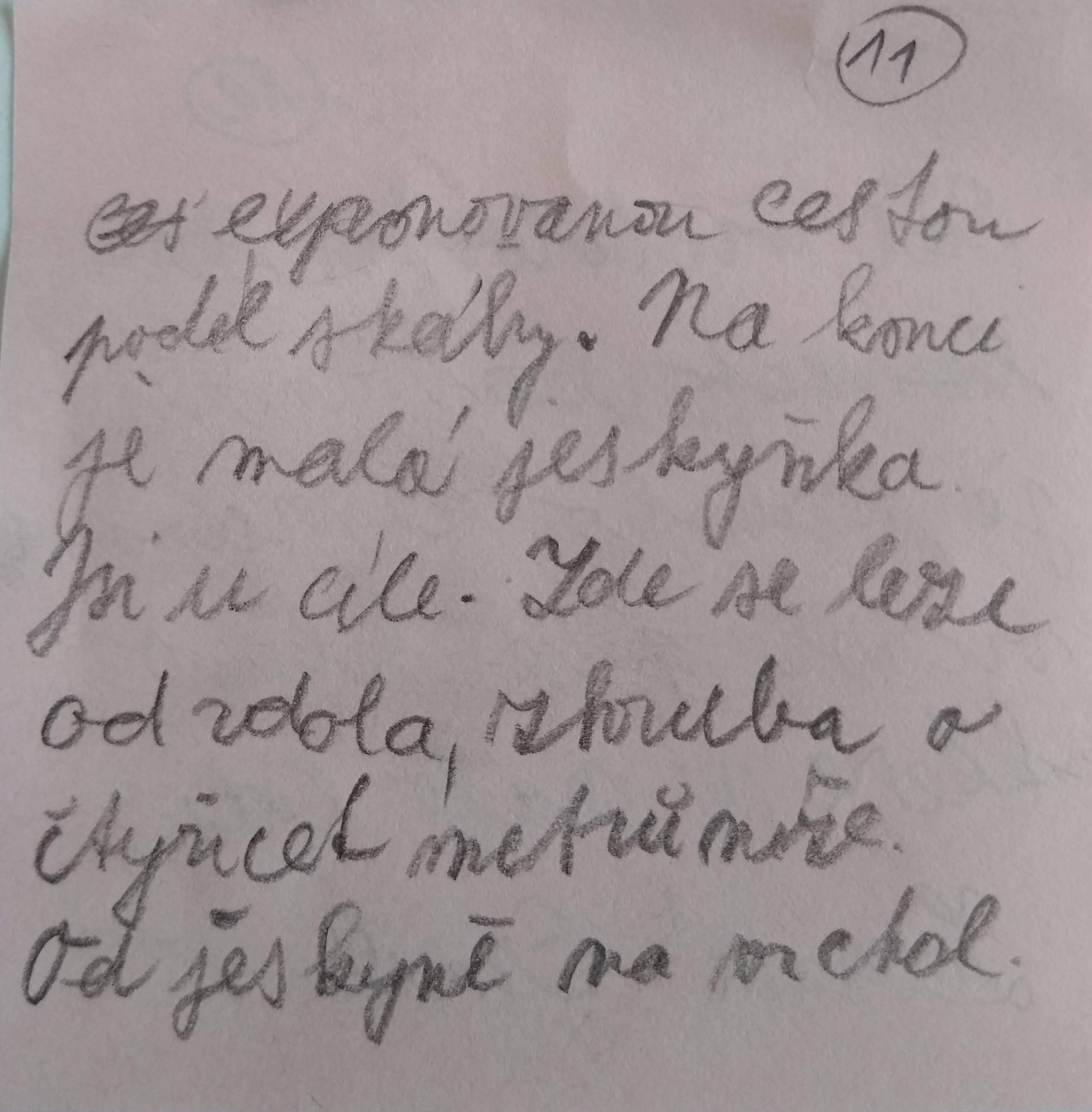 Image 11